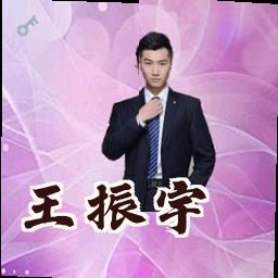 王振宇